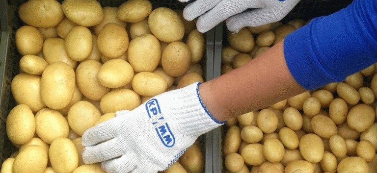 How Automation is Revolutionizing Seed Potato Farming: Wellhill Farm’s Success Story