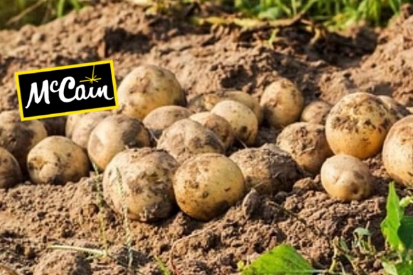 Brasilien: McCain investiert 1.8 Milliarden Reais in den Ausbau der Produktion von Tiefkühl-Pommes frites