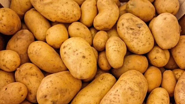 Fire Safety Negligence: What the Cold Storage FIRs Mean for Potato Farmers in UP