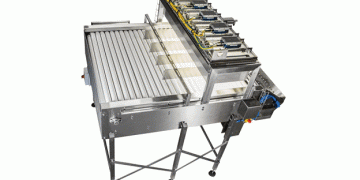 Boosting Potato Processing Profits with AI: The Game-Changing SiftAI® Smart Table
