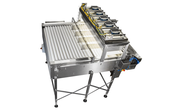 Gewinnsteigerung bei der Kartoffelverarbeitung mit KI: Der bahnbrechende SiftAI® Smart Table