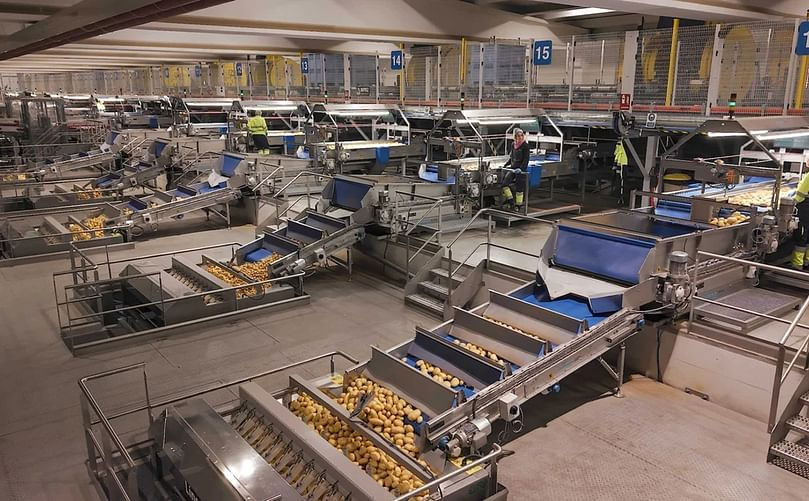 Rewolucja w obsłudze ziemniaków po zbiorach: w jaki sposób Patatas Meléndez i Wyma wyznaczają nowy globalny standard