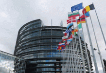 A New Era for EU Potato Farmers: Unlocking Multi-Membership in Producer Organisations