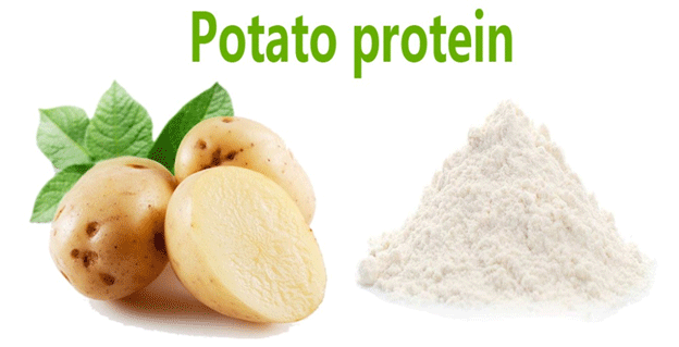Beyond Starch: The Rise of Potato Protein as a High-Value, Functional Crop Opportunity 42 Beyond the Tuber: The High-Value Future of Potato Protein and Its Impact on the Agri-Food Chain