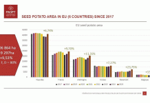 El sector europeo de la patata de siembra está en auge: los procesadores y los mercados de exportación impulsan un aumento del 9.5 % en la superficie cultivada.