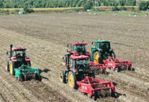 단편화된 토지에서 4톤 수확량까지: 감자 농사에 혁명을 일으키는 "한 마을, 한 밭" 모델