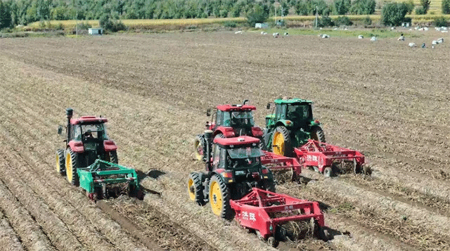 From Fragmented Plots to 4-Ton Yields: The "One Village, One Field" Model Revolutionizing Potato Farming 38 From Fragmented Plots to 4-Ton Yields: The “One Village, One Field” Model Revolutionizing Potato Farming