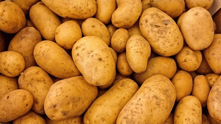 Why Kuzbass Vegetables Don’t Last Until Summer – And the Role of Imports in Food Security
