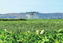 De cultivo de subsistencia a potencia económica: cómo Dingxi construyó un imperio de la papa de 3.9 millones de dólares