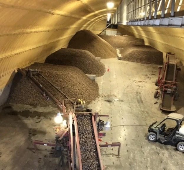 NAPSO Hosts Successful Seed Potato Storage and Disease Prevention Webinar 49 NAPSO Hosts Successful Seed Potato Storage and Disease Prevention Webinar