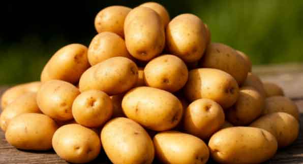 The Soviet-Era Potato Preparation Method That Guarantees a Record Harvest 19 The Soviet-Era Potato Preparation Method That Guarantees a Record Harvest