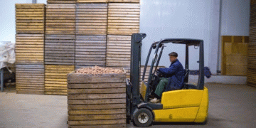 Navigating the 2024 North American Potato Production Decline: Insights and Implications