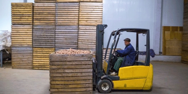 Navigating the 2024 North American Potato Production Decline: Insights and Implications 51 Navigating the 2024 North American Potato Production Decline: Insights and Implications