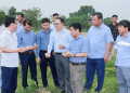 Vietnam’s FL2215 Potato Production Model: A Game Changer for Processing-Grade Varieties