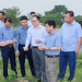 Vietnam’s FL2215 Potato Production Model: A Game Changer for Processing-Grade Varieties