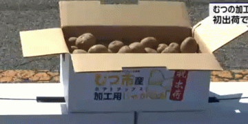 Mutsu City Unveils Its First Potato Chips: A New Agricultural Venture