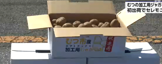 むつ市が初のポテトチップスを発表：新たな農業ベンチャー