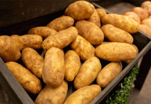 The $150 Million Barrier: Why Japan’s Closed Market for Fresh Potatoes is a Strategic Setback for U.S. Growers