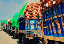 Beyond the Border: A Record Potato Shipment and the Future of Regional Agri-Trade