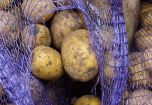 Russian Ministry Forecasts Potato Price Stability Amid Strong Harvest Projections