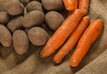 За пределами нормы: как Кировская область превзошла ожидания, показав рекордную урожайность картофеля