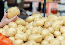 La Revolució Daurada: Com les patates de carn groga estan remodelant el mercat nord-americà