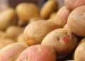 The Future of Processed Potato Products: Innovation, Health, and Global Demand