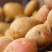 The Future of Processed Potato Products: Innovation, Health, and Global Demand