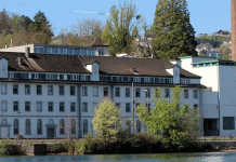 El alto costo del proteccionismo: lecciones del colapso de un gigante del almidón de 165 años