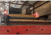 Record Potato Yields in Nizhny Novgorod: Innovations in Cultivation and Storage Boost Quality and Profits