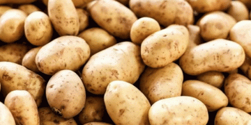 The Potato Demand Surge: Meeting the Global Need by 2030