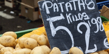 Steady Potato Prices Amidst 2024 Harvest Challenges: What Farmers Need to Know