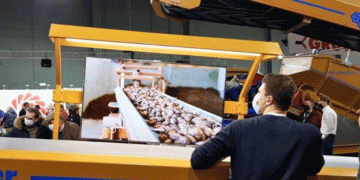 Energizing the Future of the Potato Industry: How Sustainability, Technology, and Innovation Are Driving Change