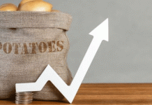 Breaking New Ground: U.S. Seed Potato Exports Surge in Latin America