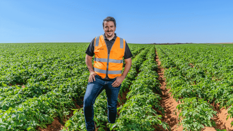Climate Shock: How Extreme Weather is Crippling a National Potato Industry