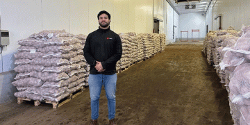 Argentina’s First Seed Potato Export: A Game-Changer for Latin American Agriculture