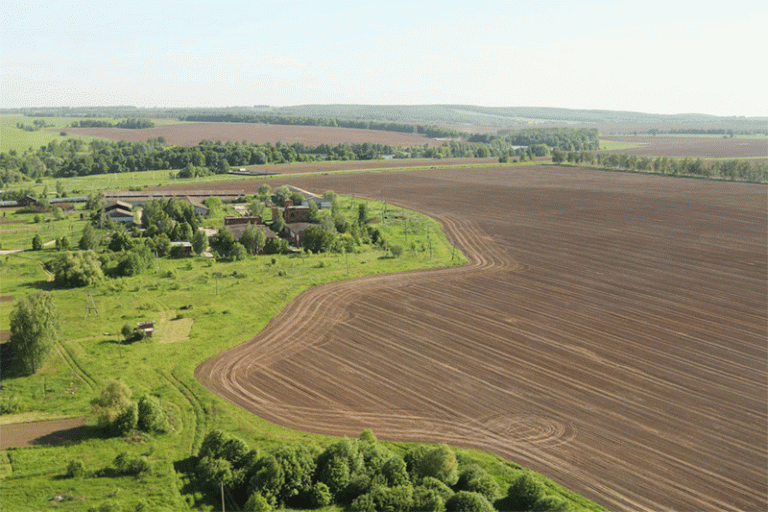 Lipsa informațiilor despre terenurile agricole din Rusia împiedică implicarea lor în tranzacționarea 50 Lipsa de informații despre terenurile agricole din Rusia împiedică implicarea acestora în cifra de afaceri