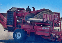 Más allá del campo: Una mirada al interior de la escala, la habilidad y el sentimiento de la producción moderna de papa
