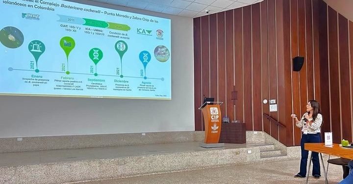 Colombia / Peru: ICA Expands Regional Phytosanitary Risk Management for the Potato Purple Top Complex