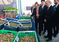 Revolutionizing Potato Farming: Pakistan and South Korea Partner to Boost Seed Potato Production with Aeroponics