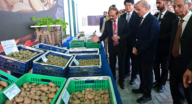 Révolutionner la culture de la pomme de terre : le Pakistan et la Corée du Sud s'associent pour stimuler la production de pommes de terre de semence grâce à l'aéroponie 25 Révolutionner la culture de la pomme de terre : le Pakistan et la Corée du Sud s'associent pour stimuler la production de pommes de terre de semence grâce à l'aéroponie