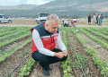 Potato Harvest Begins in Hatay: Insights on Yield, Soybean Growth, and Agricultural Support