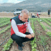 Potato Harvest Begins in Hatay: Insights on Yield, Soybean Growth, and Agricultural Support