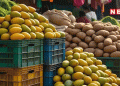 Mango Boom Crushes Potato Demand: Cold Storages Overflow as Prices Plummet