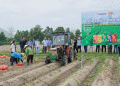 Vietnam’s FL2215 Potato Model: A Game-Changer for Processing and Farmer Profitability