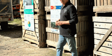 Organic Potato Farming: Lessons and Challenges from a French Farmer