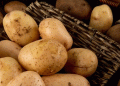 Kazakhstan’s Potato Crisis: How Imports from China and Pakistan Are Stabilizing the Market