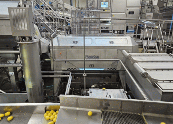 Polish Processor MK Agro Boosts Efficiency and Quality with Advanced Peeling Technology from Finland’s Forsfood