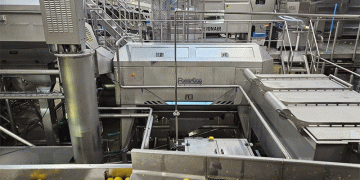Polish Processor MK Agro Boosts Efficiency and Quality with Advanced Peeling Technology from Finland’s Forsfood