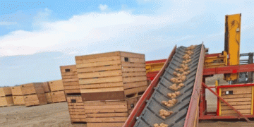 Podravka Agri Expands Potato Production in Croatia Following Supply Deal with Snack Maker Kanaan